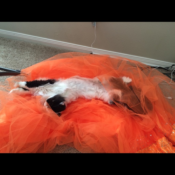 Meet your Posher, Wendy - Picture 7 of 8